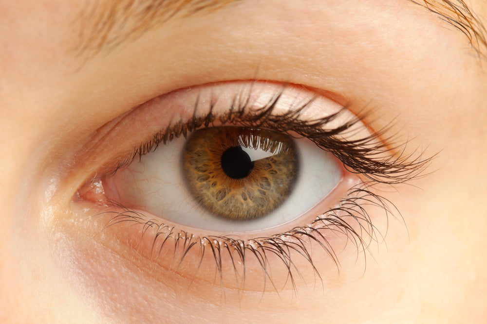 Vision & Vitality: How To Protect Your Eyes During Shorter, Darker Days