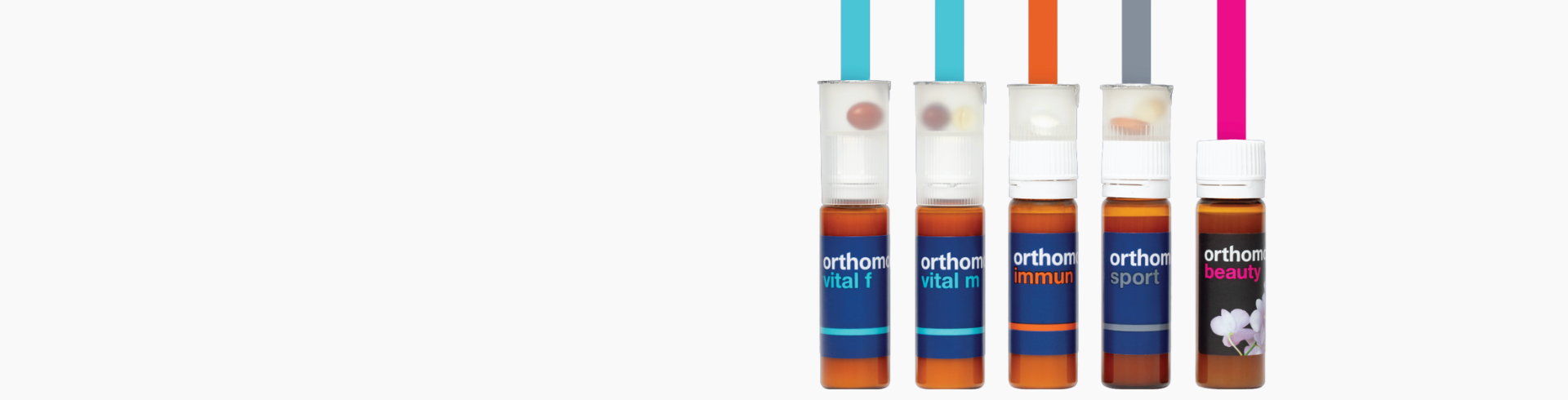 Collection Banner